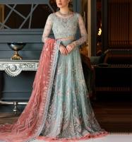 Luxury Heavy Embroidered Net Bridal Dress with Embroidered Net Dupatta(UnStitched) (CHI-701) Price in Pakistan